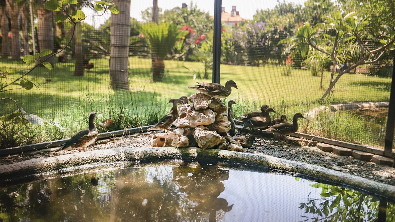 Photo of Outdoor in Camyuva