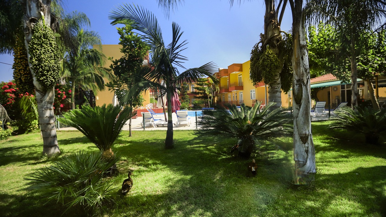 Photo of Outdoor in Camyuva