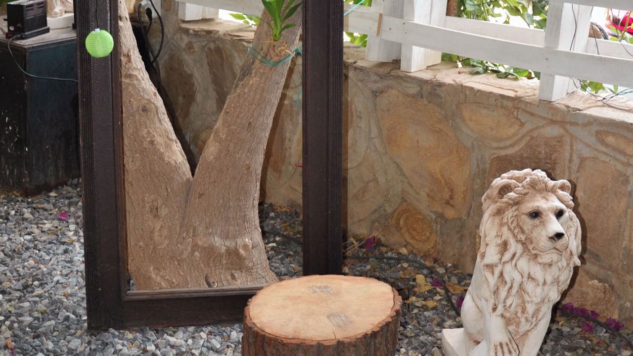 Photo of Outdoor in Ozdere