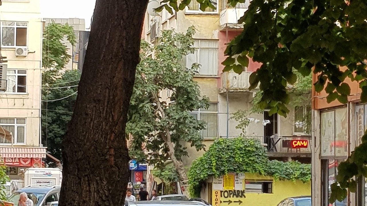 Photo of Outdoor in Rasimpasa