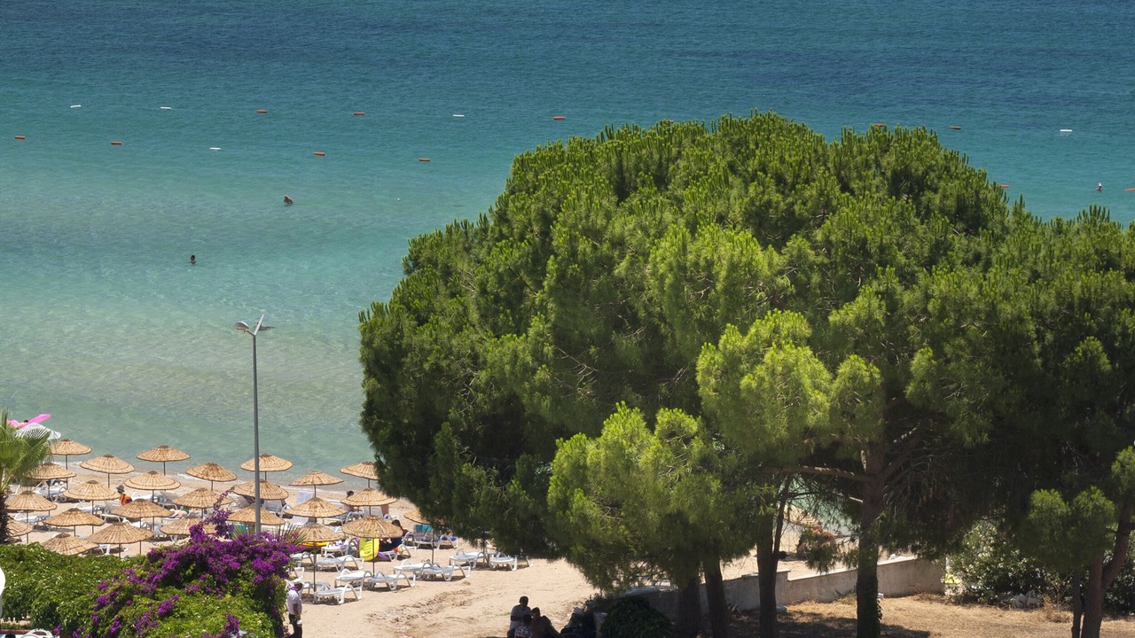 Photo of Others in Altinkum