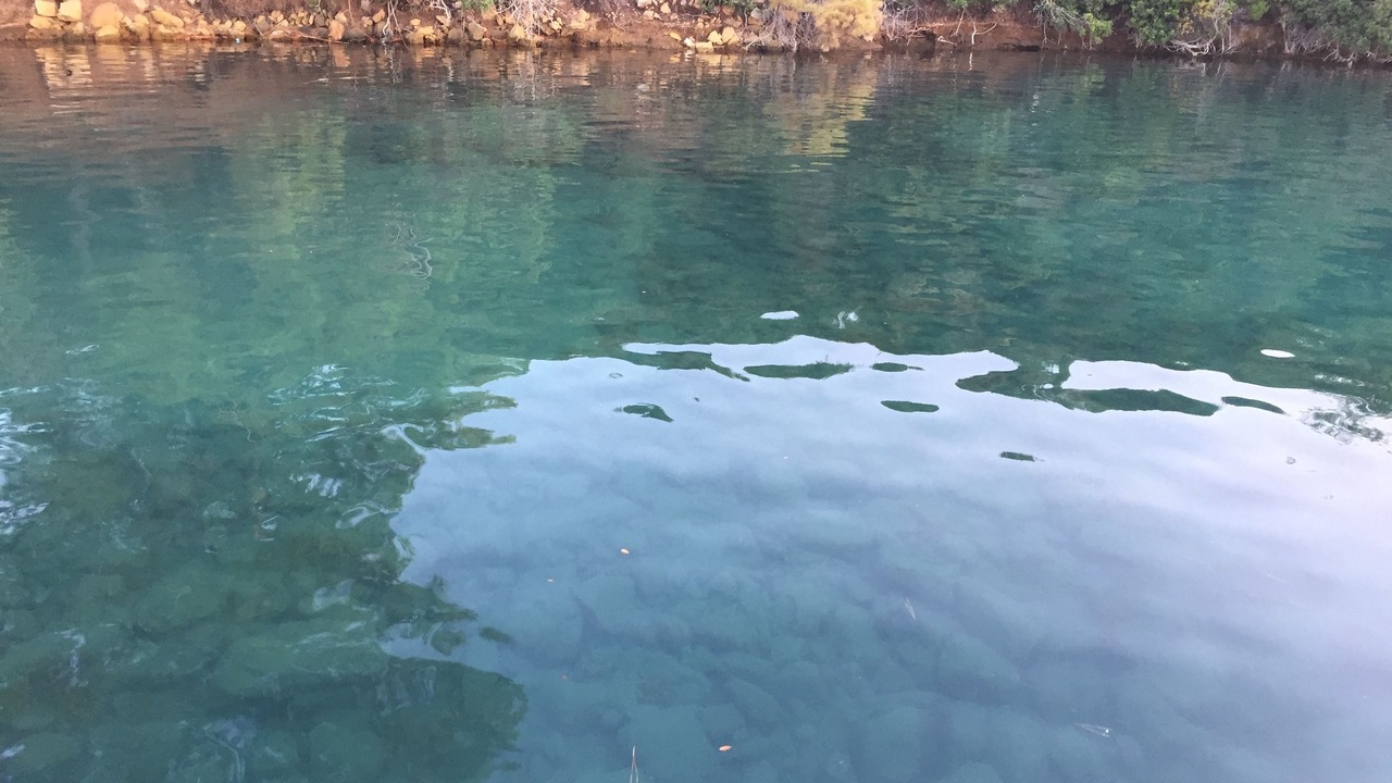 Photo of Others in Gocek