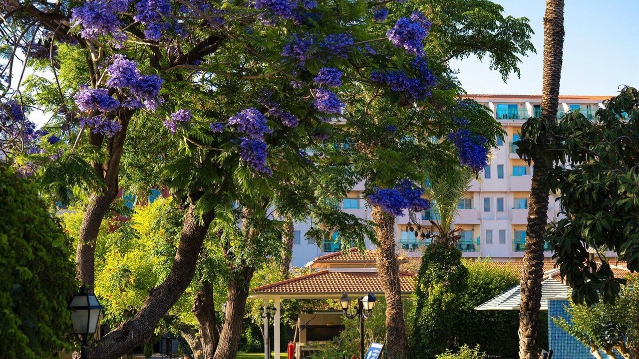 Photo of Outdoor in Belek Golf Area