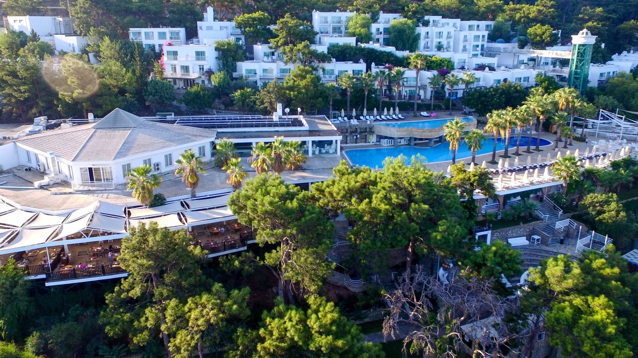 Photo of Outdoor in Zeytinlikahve