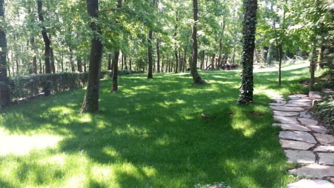 Photo of Outdoor in Cumhuriyet Mahallesi