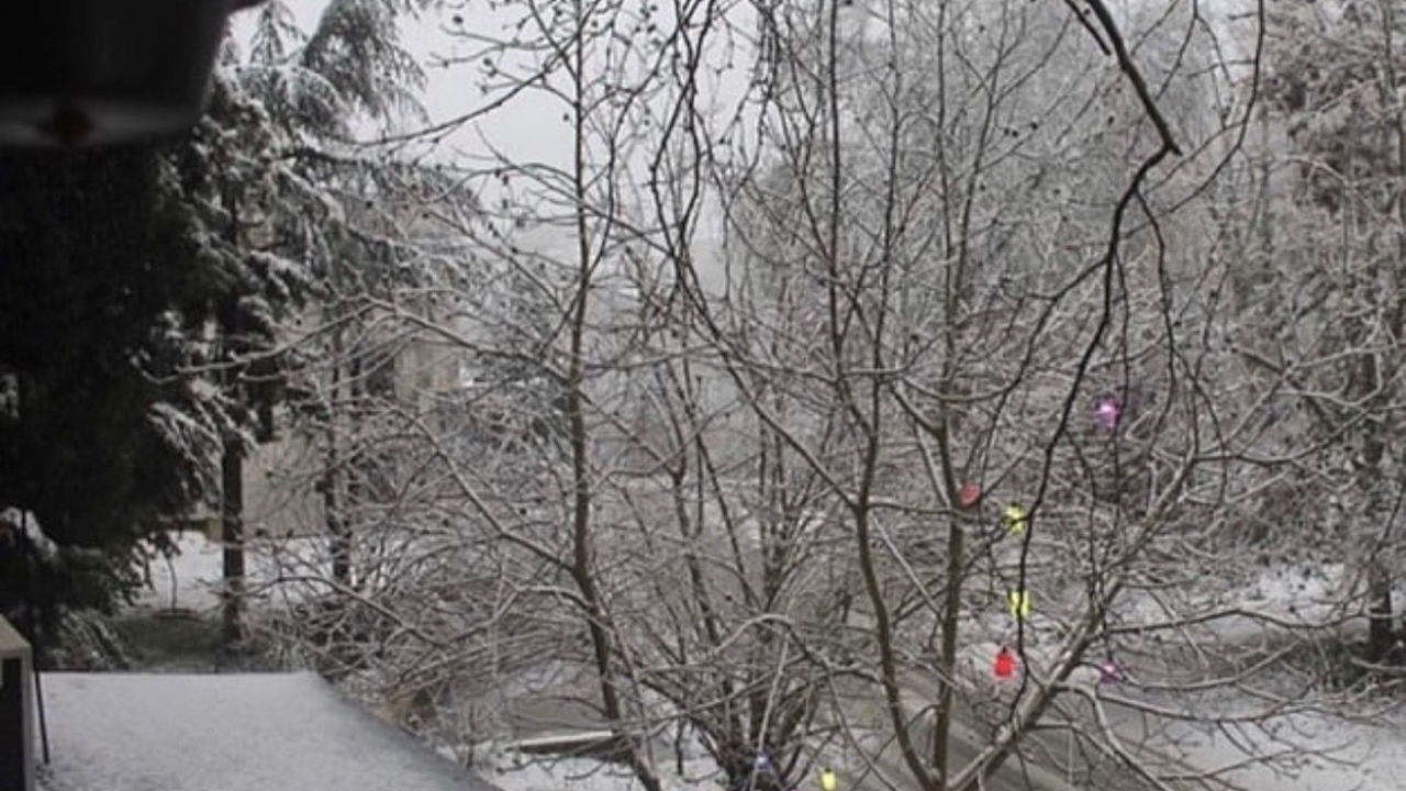Photo of Outdoor in Gokcedere