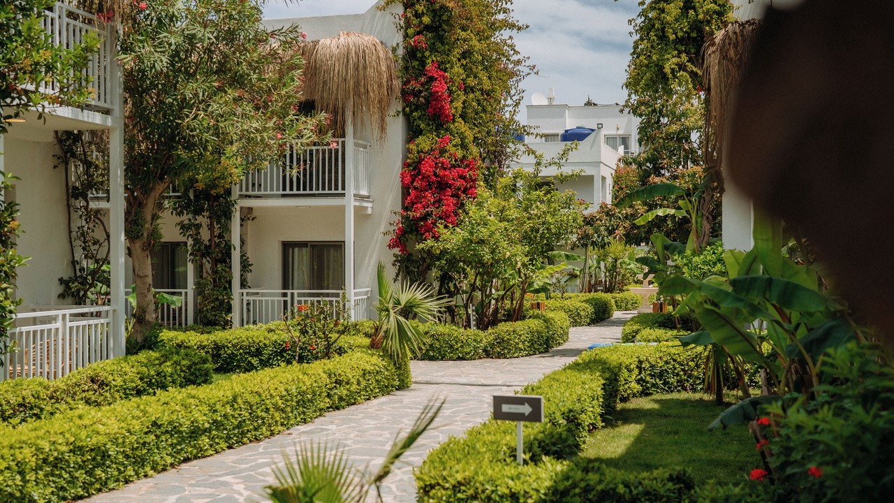 Photo of Outdoor in Yalikavak