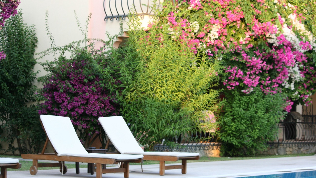 Photo of Outdoor in Gocek