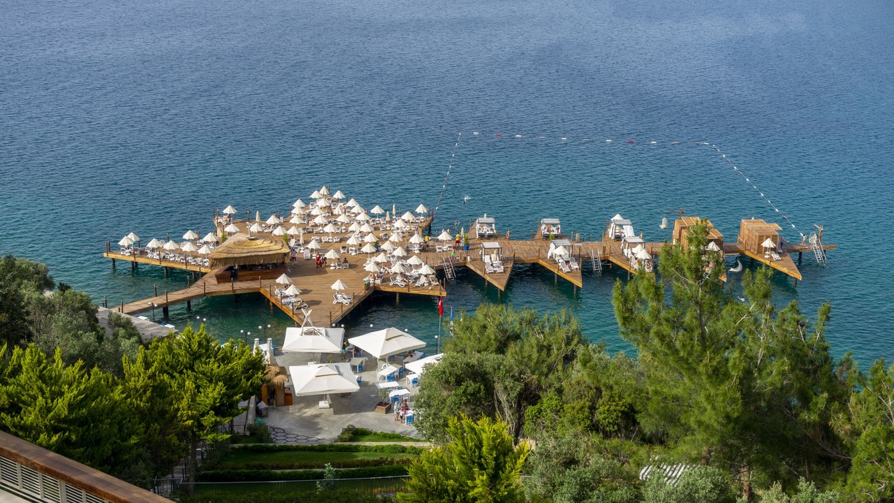 Photo of Others in Torba