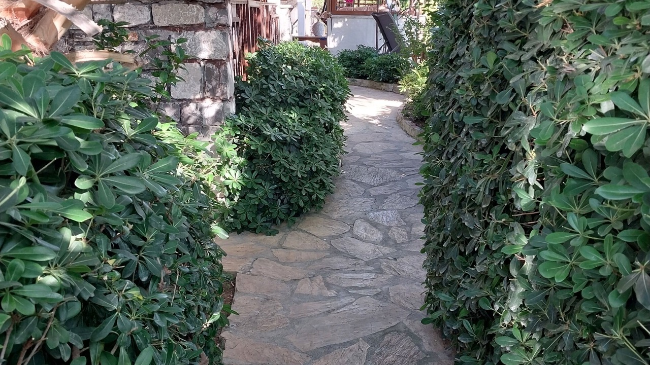 Photo of Outdoor in Gocek