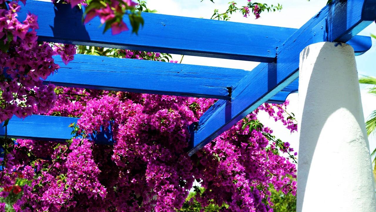 Photo of Others in Bodrum City Center