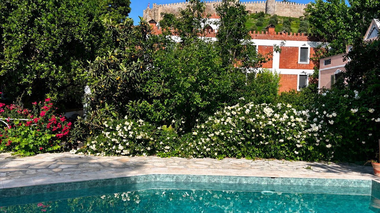 Photo of Outdoor in Selcuk