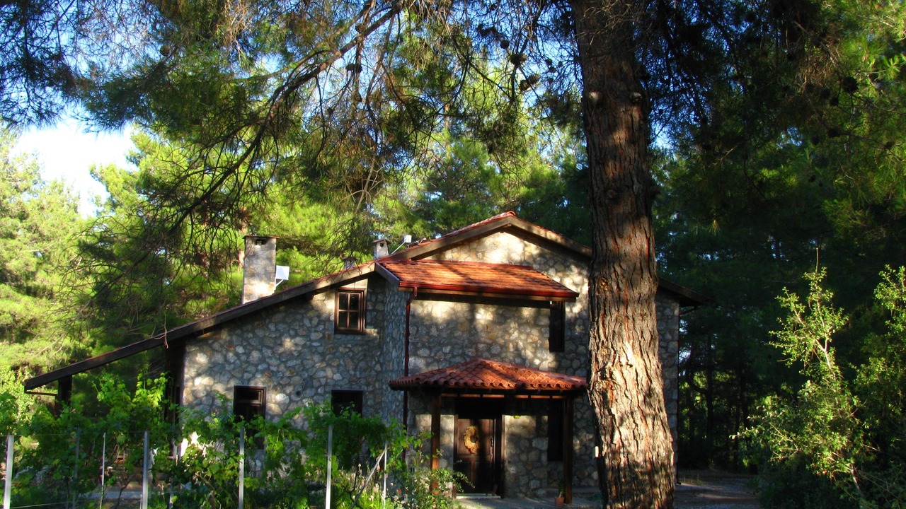 Photo of Outdoor in Fethiye