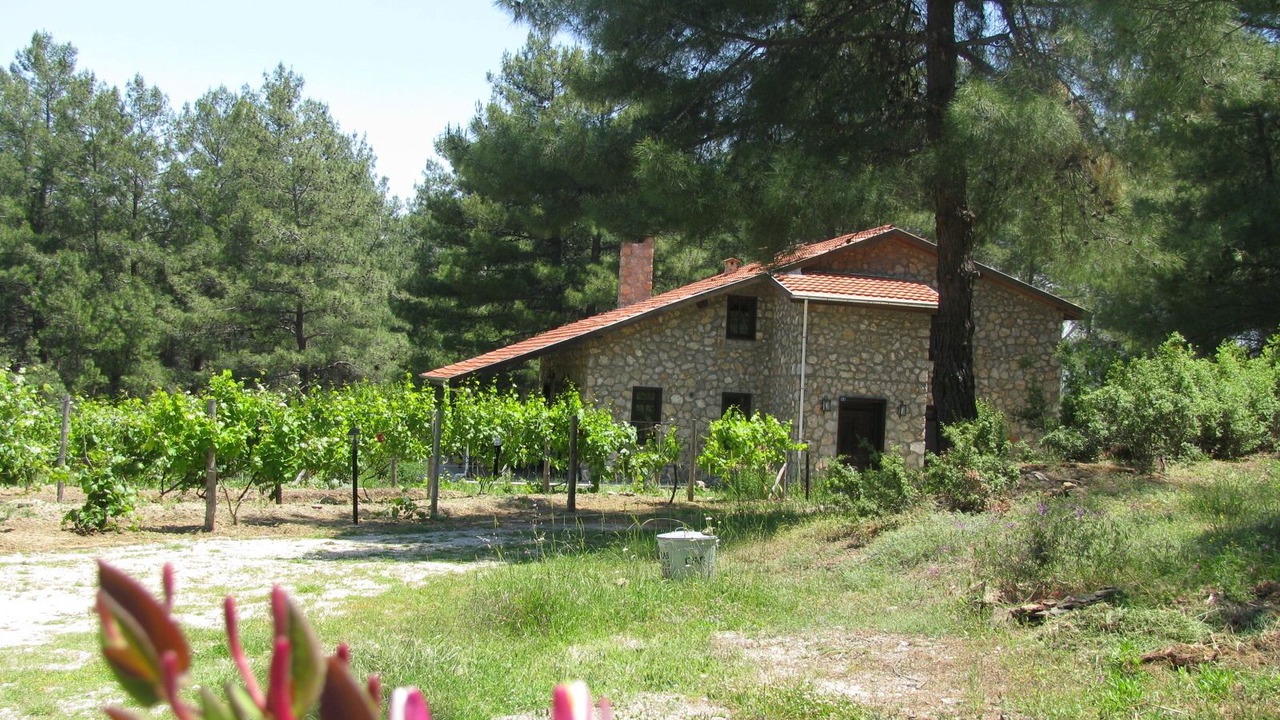 Photo of Outdoor in Fethiye