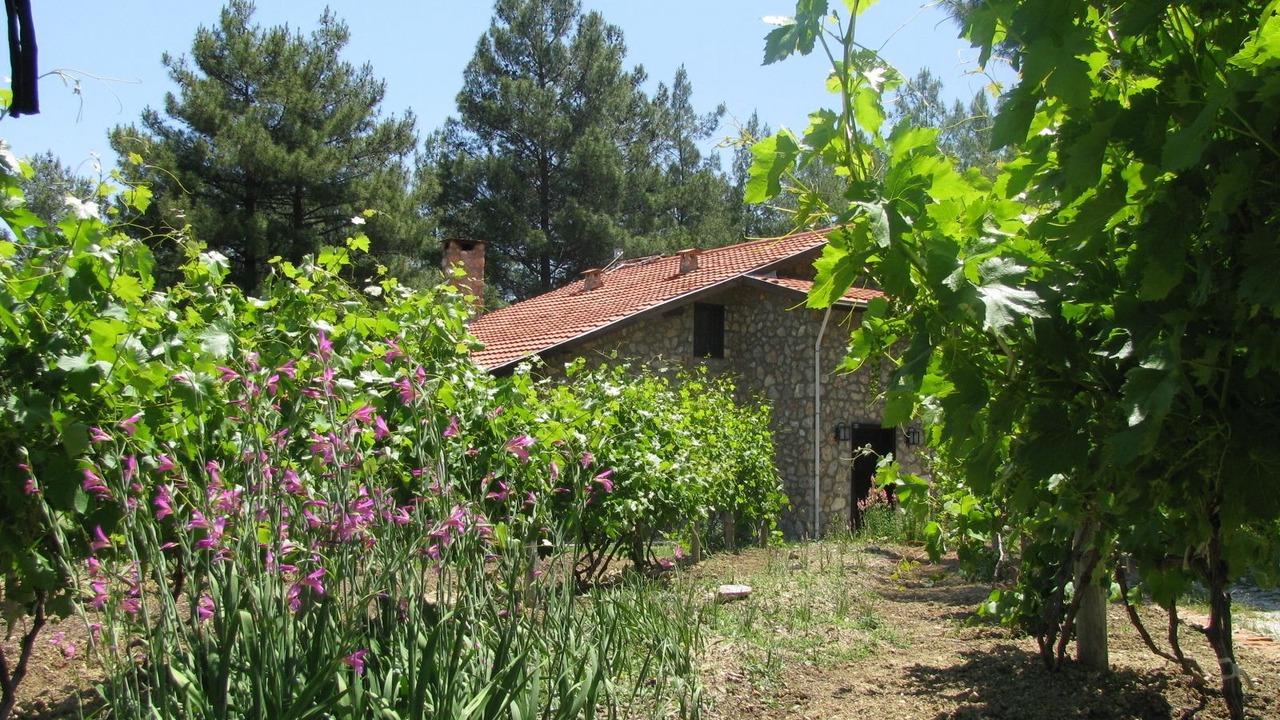 Photo of Outdoor in Fethiye