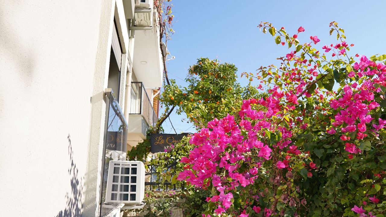 Photo of Outdoor in Urla