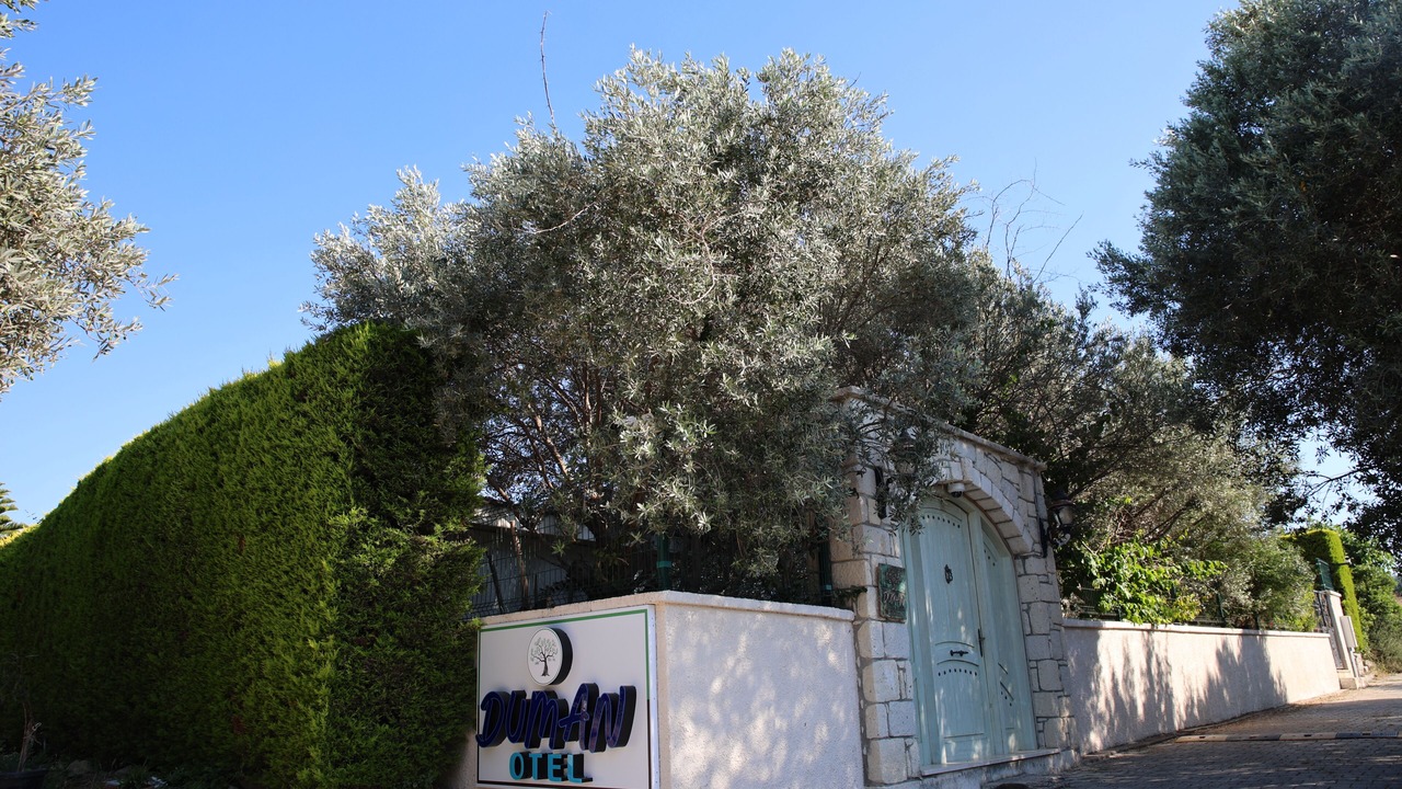 Photo of Outdoor in Ilica