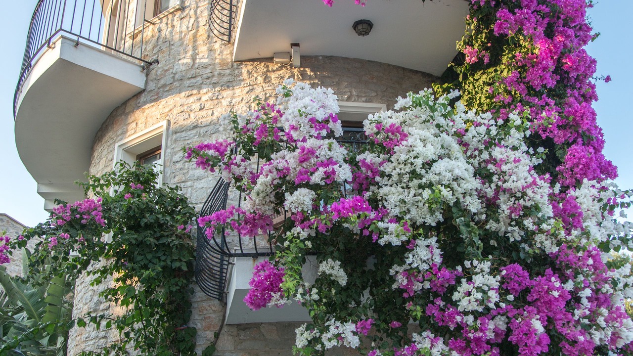 Photo of Outdoor in Datca City Center