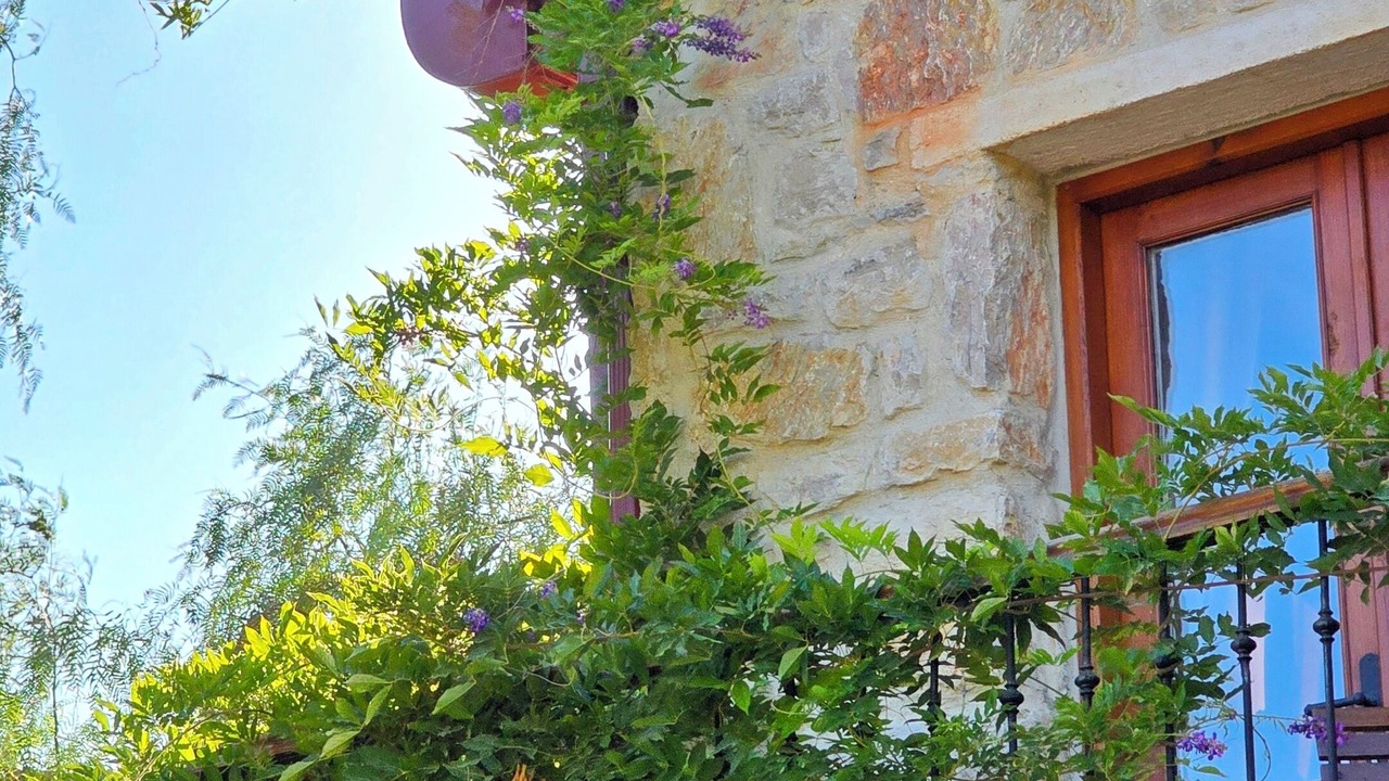 Photo of Outdoor in Old Datca