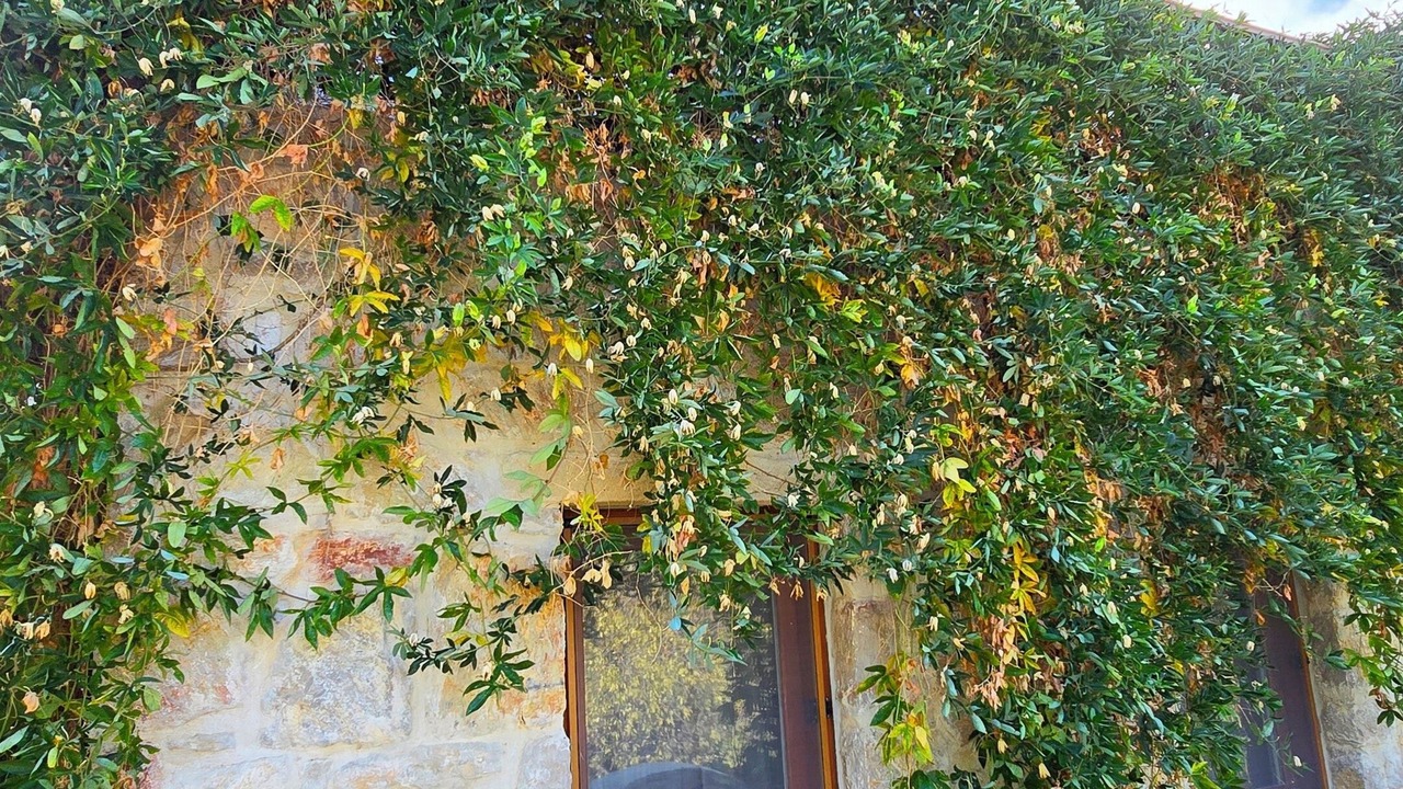 Photo of Outdoor in Old Datca