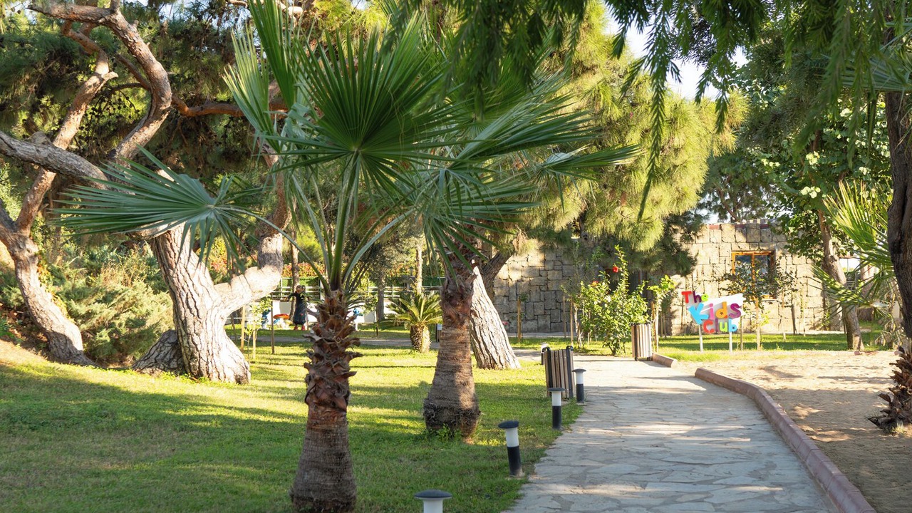 Photo of Outdoor in Okurcalar