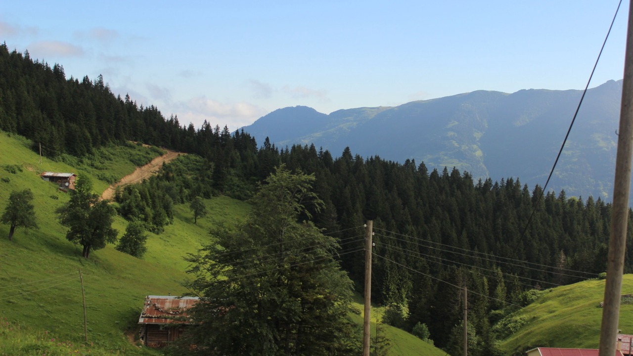 Photo of Outdoor in Caykara