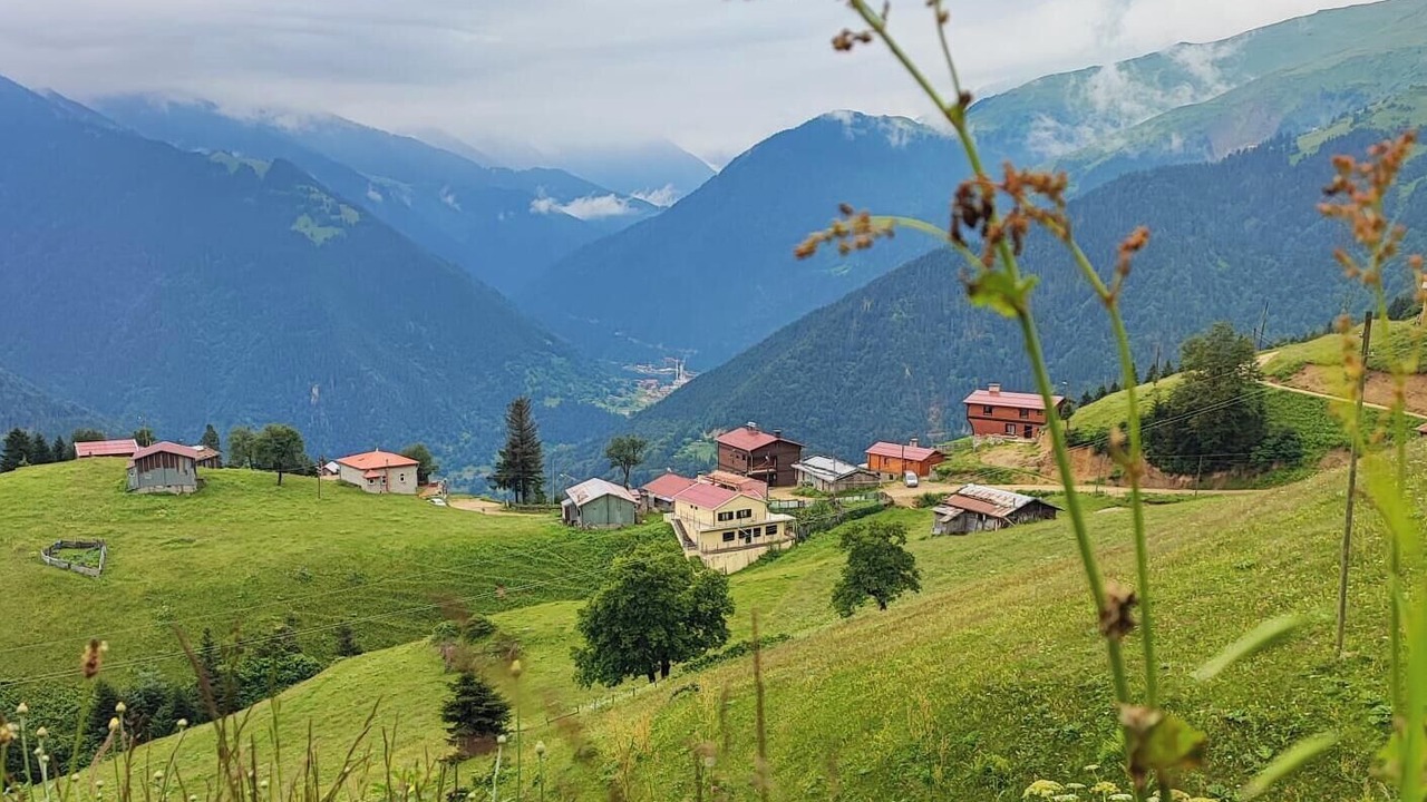 Photo of Outdoor in Caykara