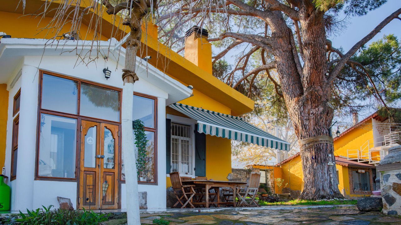 Photo of Outdoor in Alacali