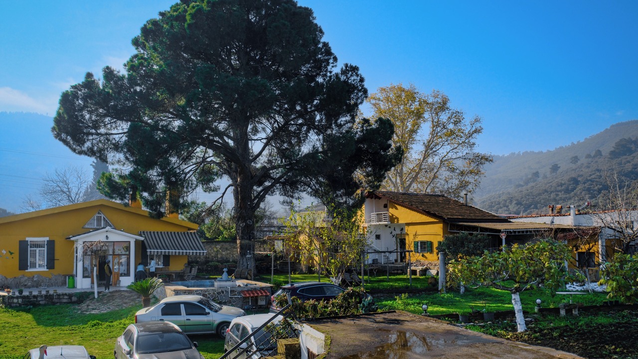 Photo of Outdoor in Alacali