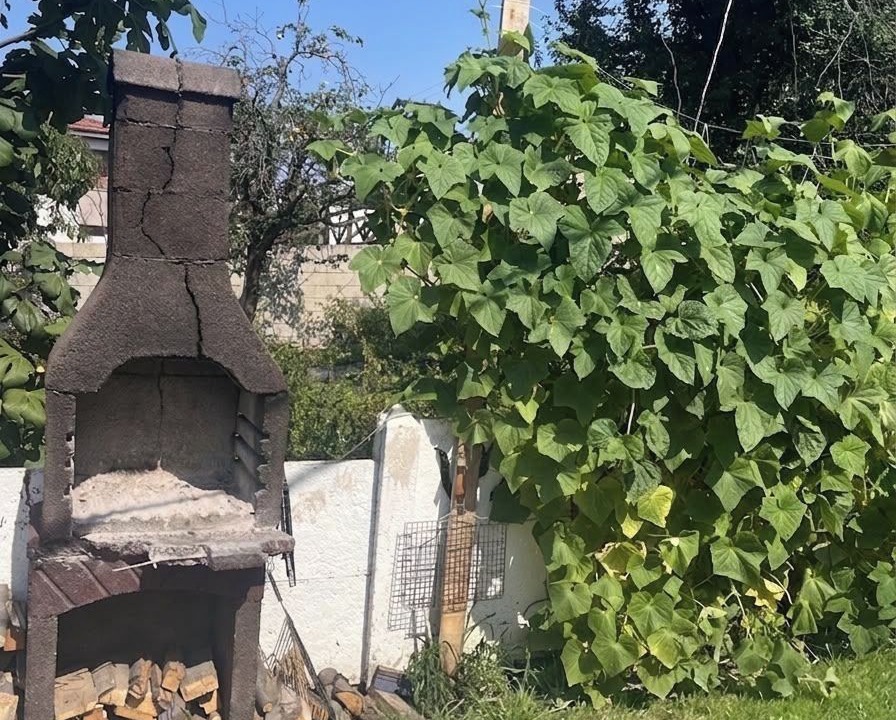 Photo of Outdoor in Karaburun Mahallesi
