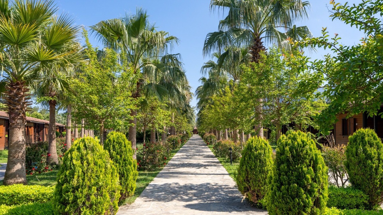Photo of Outdoor in Cirali