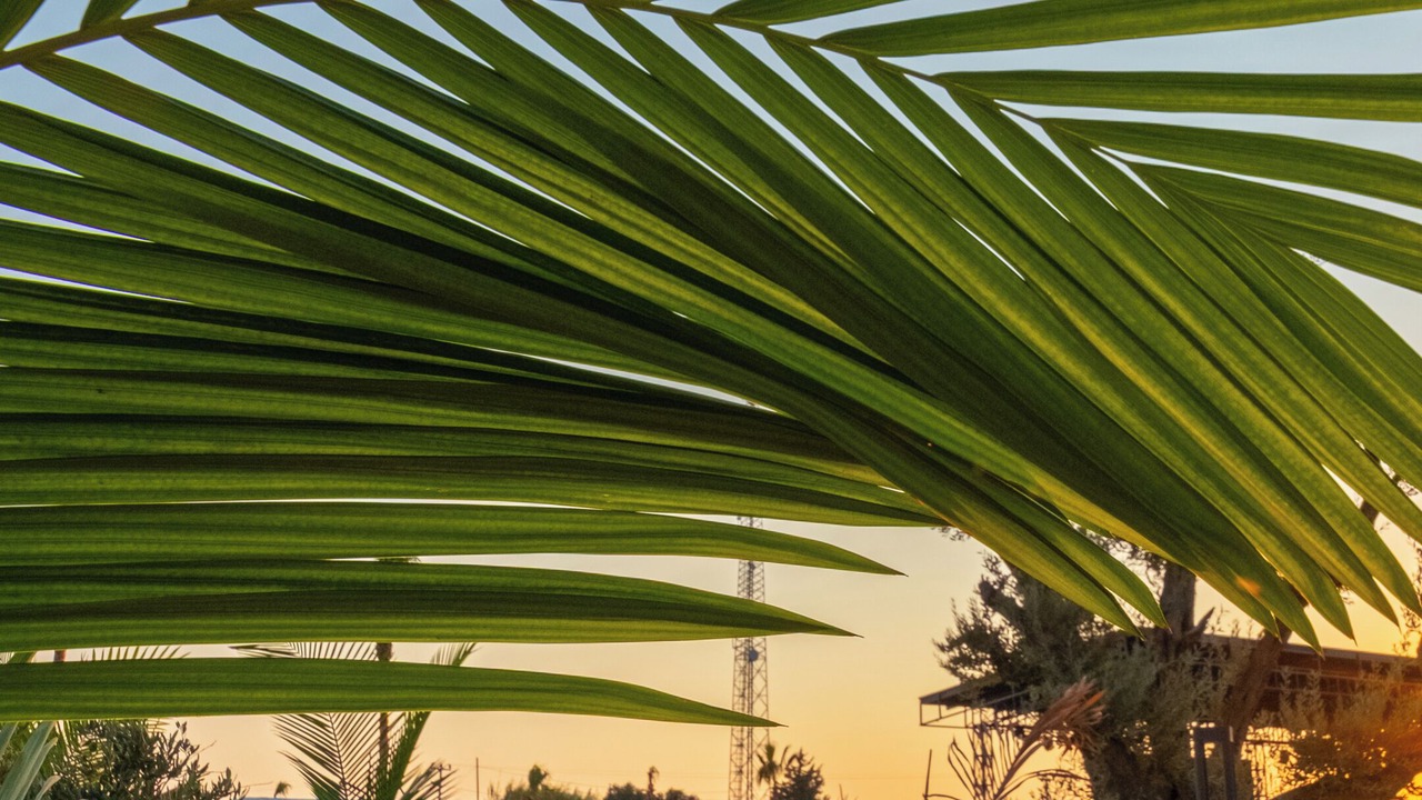 Photo of Outdoor in Cenger