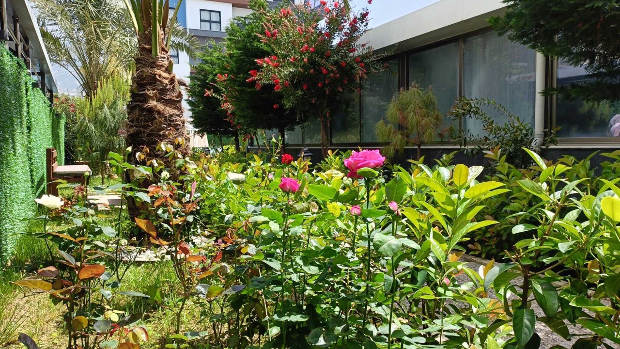 Photo of Outdoor in Alanya