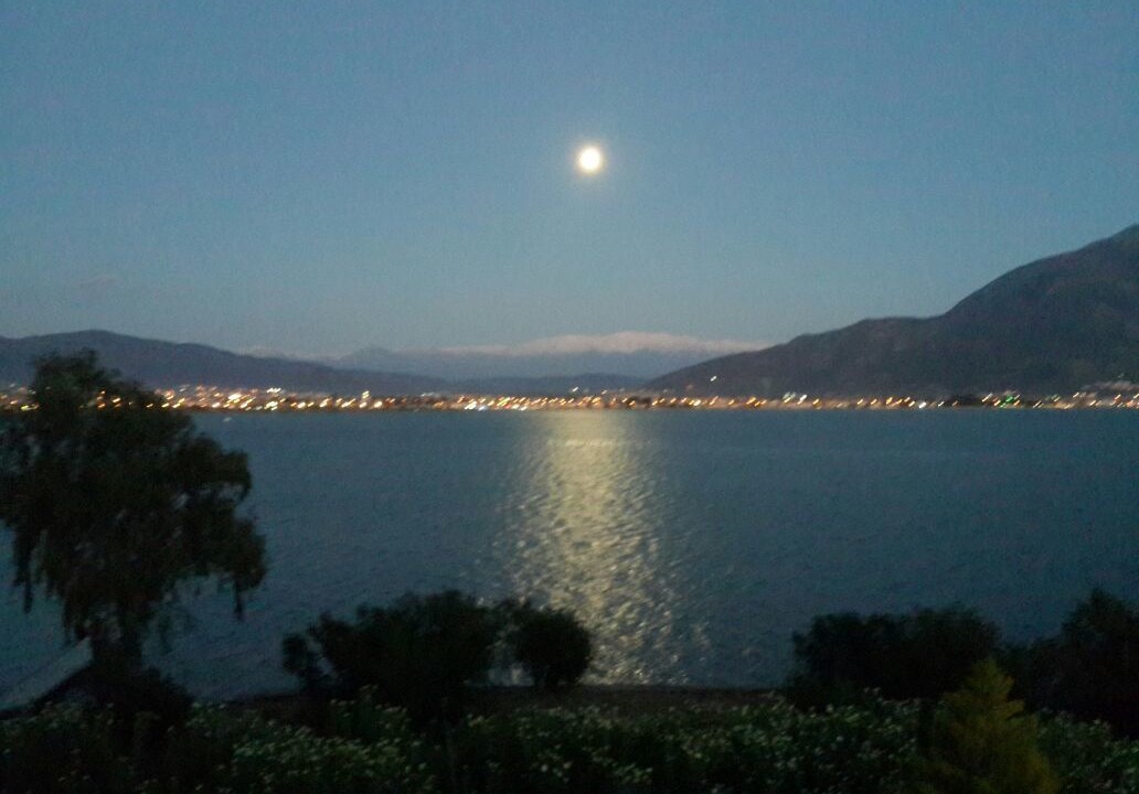 Photo of Outdoor in Fethiye City Center