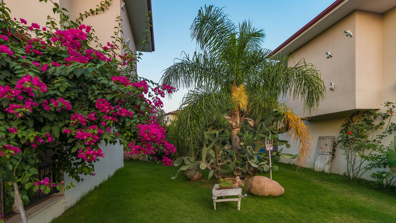 Photo of Outdoor in Selimiye