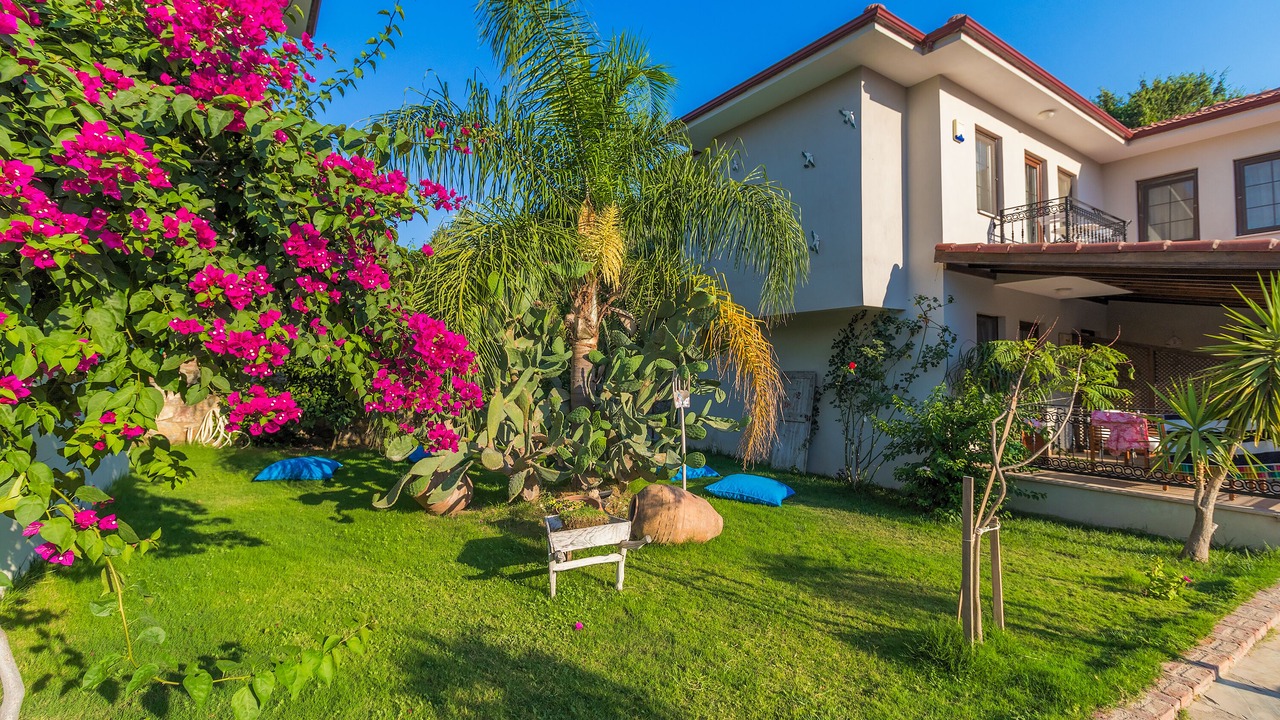 Photo of Outdoor in Selimiye