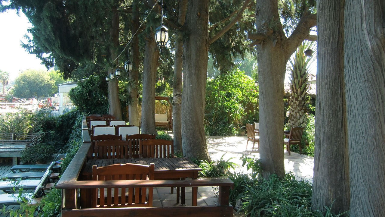 Photo of Others in Dalyan City Center