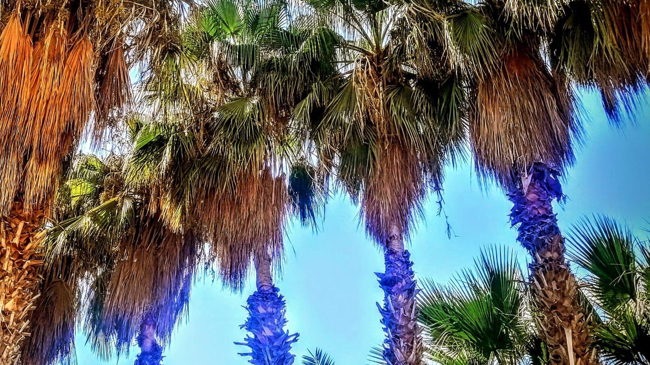 Photo of Outdoor in Bozyazi