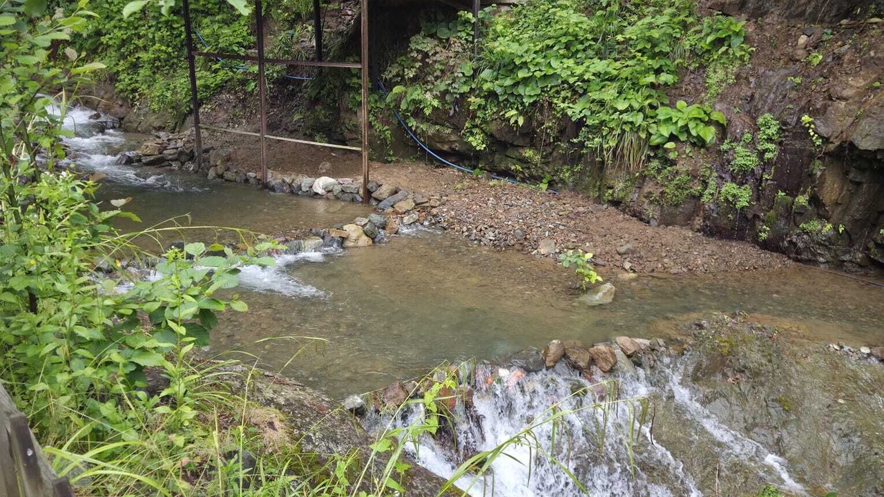 Photo of Outdoor in Ayder