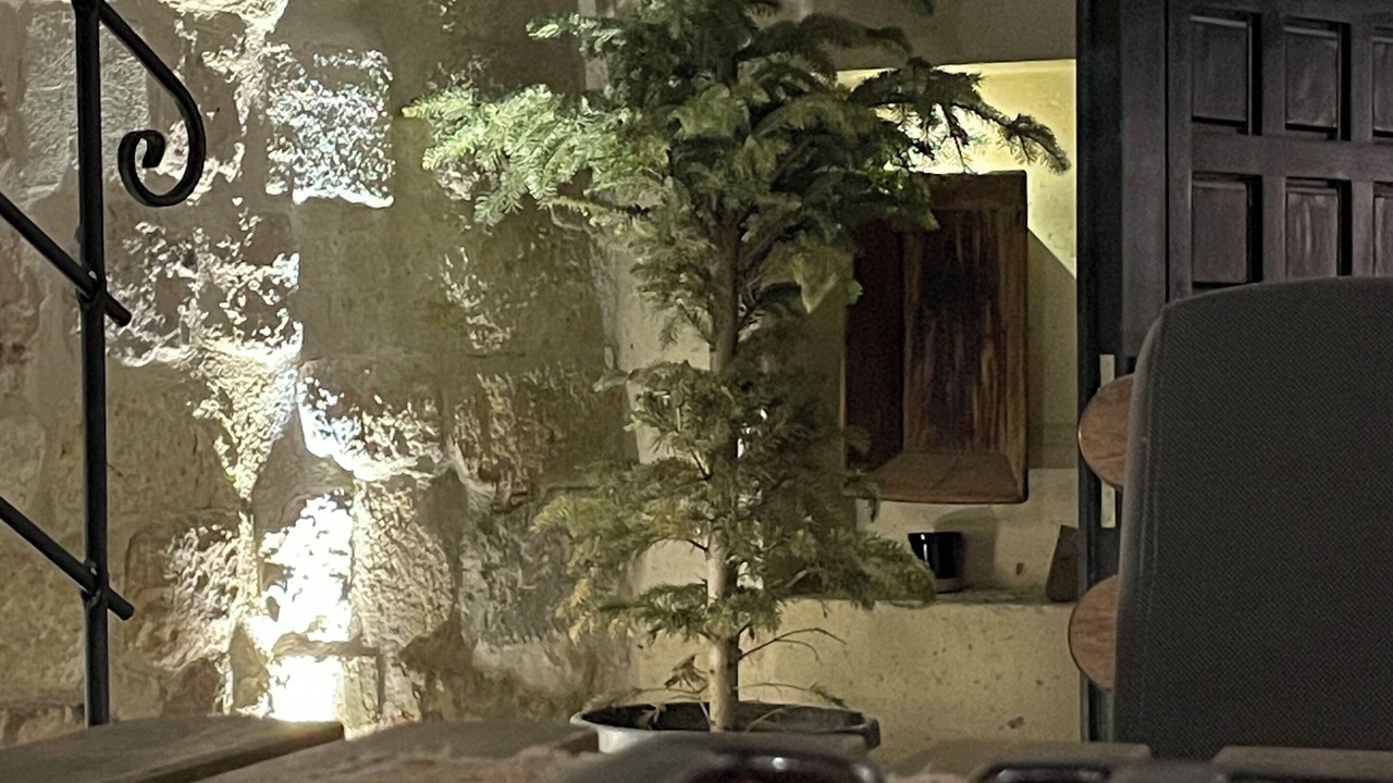 Photo of Outdoor in Ortahisar