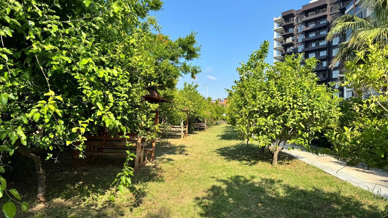 Photo of Outdoor in Kargıpınarı