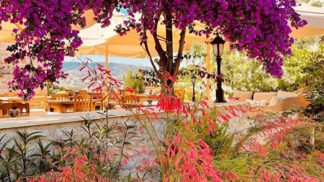 Photo of Outdoor in Old Datca
