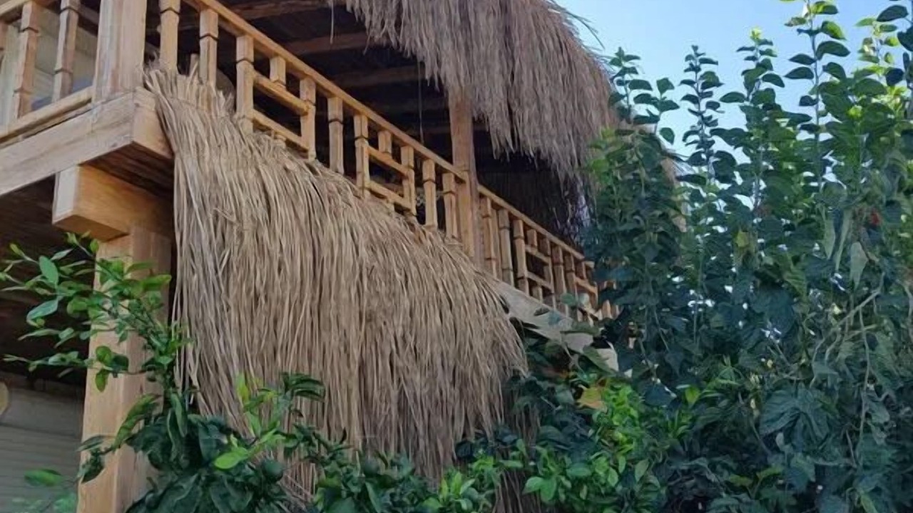 Photo of Outdoor in Alacati
