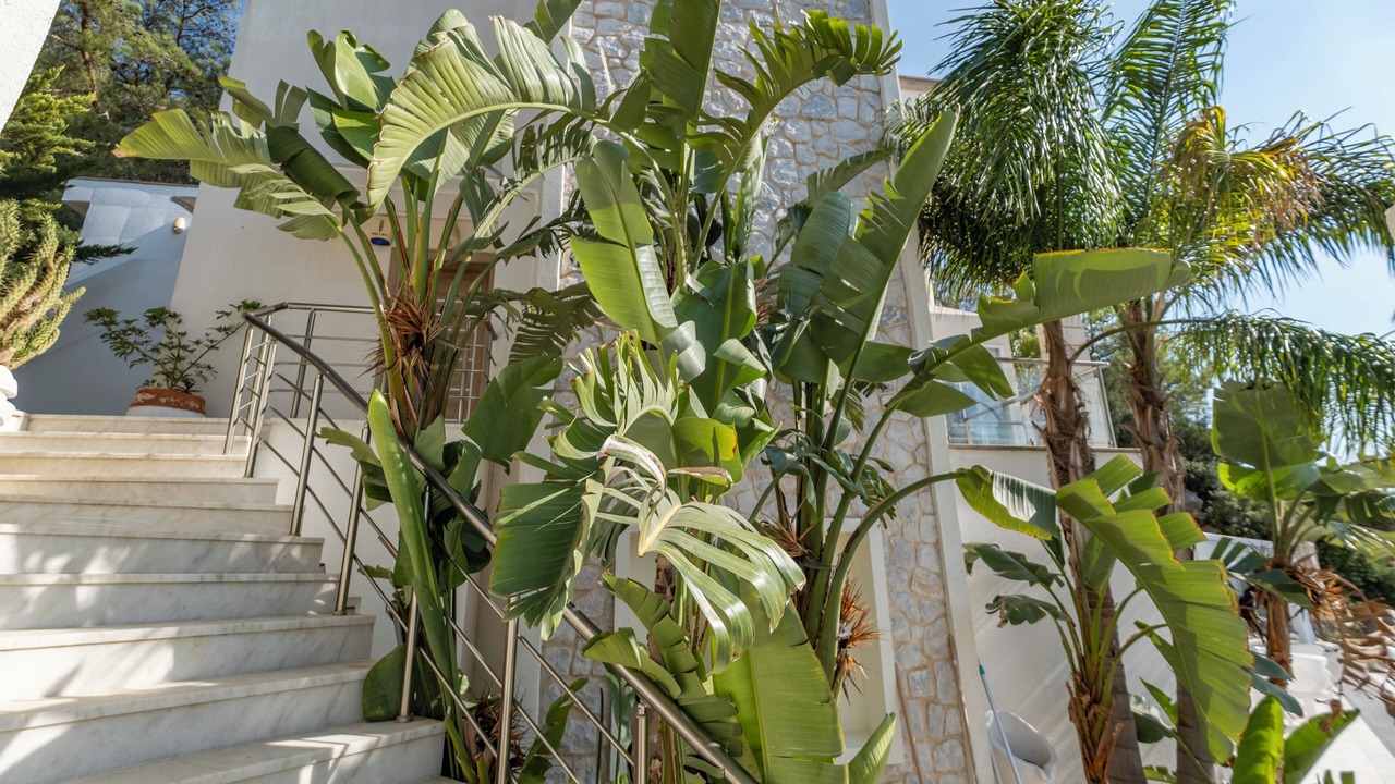 Photo of Outdoor in Bodrum