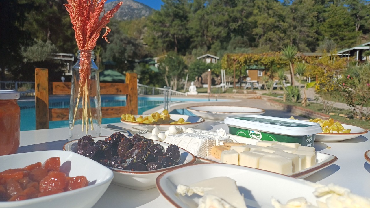 Photo of Kitchen in Olympos