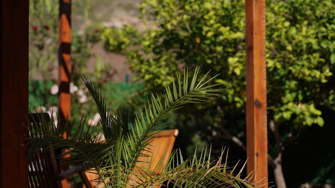 Photo of Outdoor in Kemer Mahallesi