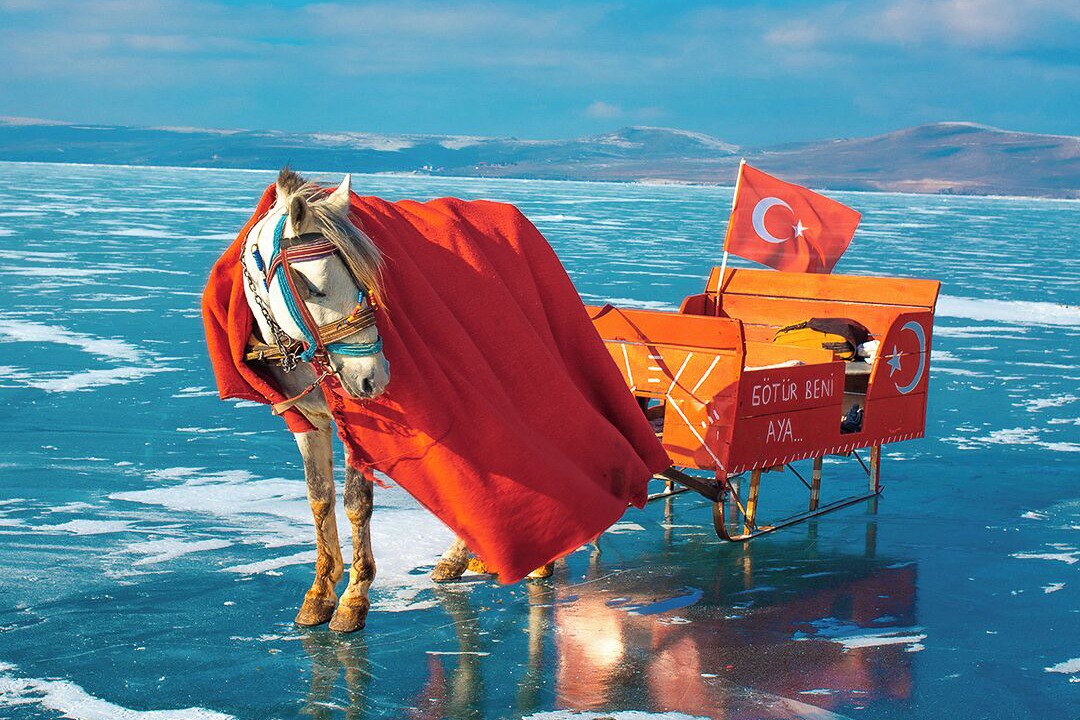 Photo of Others in Kars