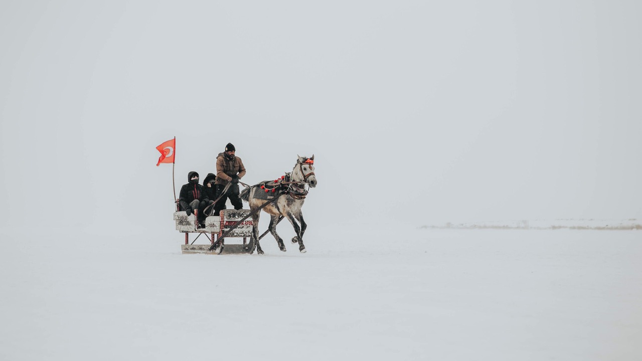 Photo of Others in Kars