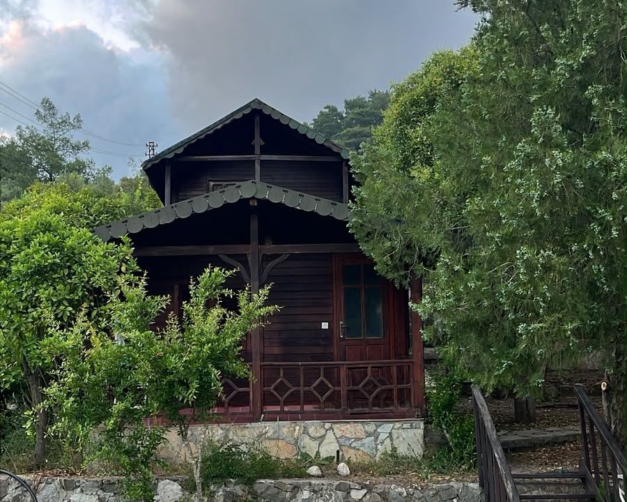 Photo of Outdoor in Olympos
