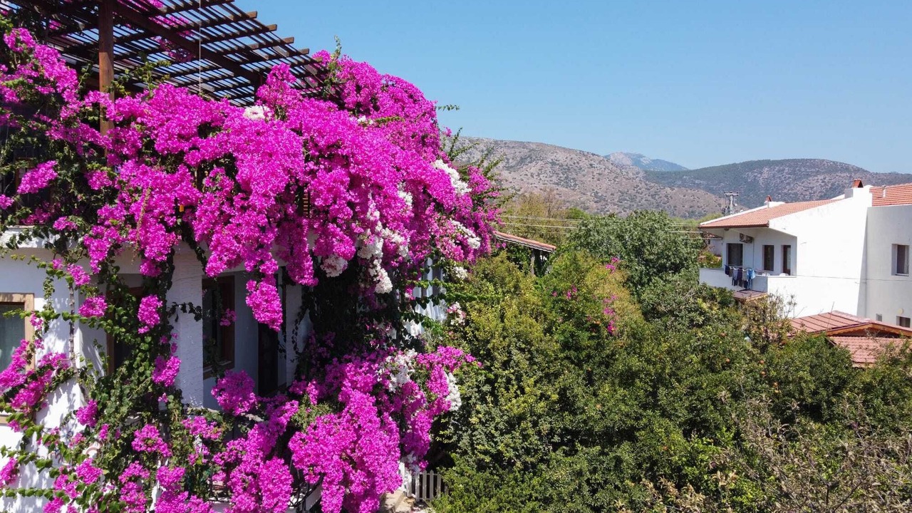 Photo of Outdoor in Datca